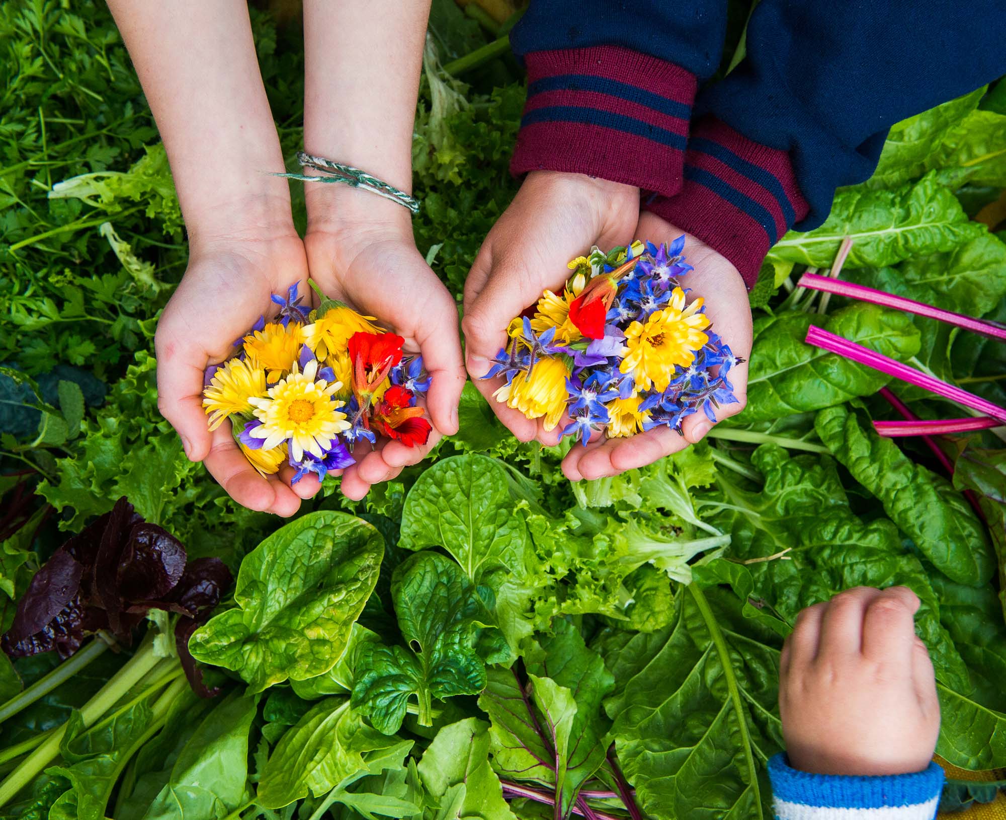 Engaging Families in Early Education Research and Advocacy Symposium – UNSW Sydney